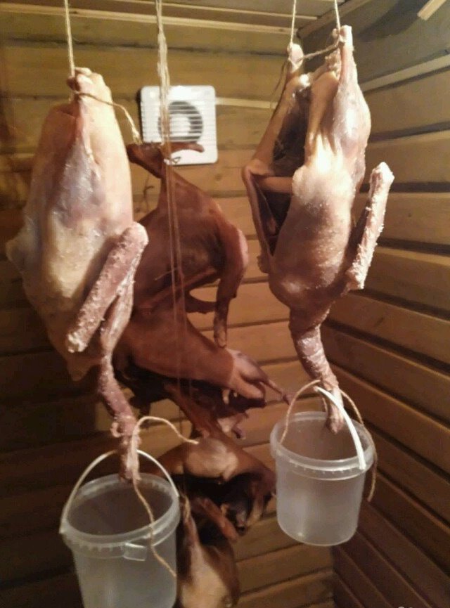 Продам мясо в Кольцове, Гусь холодного копчения по старинному сибирскому рецепту, Всё