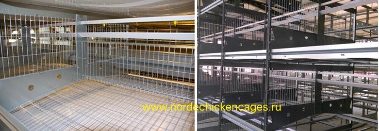 Продам мясо в Москве, Norde machinery завод производится Оборудование для птицеводство