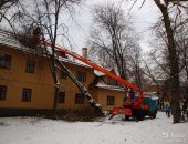 Услуги в Новосибирске, Снос аварийных деревьевПосле прошедшего урагана или больших