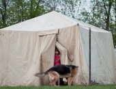 Продам палатку в Краснодаре, Палатка ПЛС