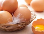 Продам мясо в Екатеринбурге, Яйцо куриное домашнее, от 10шт, Куриное яйцо