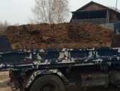 Продам комнатное растение в Хабаровске, Навоз коровяк, прошлогодний, своё хозяйство