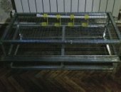 Продам с/х птицу в Чонтауле, Клетки для перепелов, Клетка из ацынковки скармушкой и