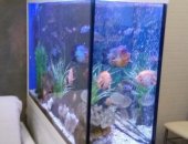 Продам в Красноярске, Акваpиум - длина 1, 3 м, шиpина 40 см, высота 90 см, Выcотa