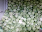 Продам овощи в Челябинске, Капуста, Засоличная, вкусная капуста