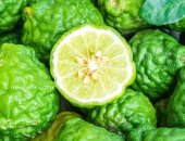 Продам в Москве, Сельскохозяйственное предприятие выращивает в Италии на собственных