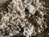 Продам в городе Таганрог, Грибная ферма Farmyc - мицелий ежовика гребенчатого на буром