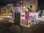 Продам аксессуар к интерьеру в городе Серпухов, Живые новогодние ели в е, Чехове