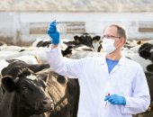 Продам в городе Белгород, Ветеринарные консультации и монтаж электрики и механики