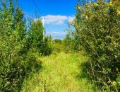 В аренду промназначение, 600 сот в городе Москва, Сдаем в земельный участок 6 гектар под