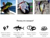 Продам снаряжение для охоты и рыбалки в городе Южно-Сахалинск