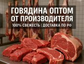 Продам мясо в городе Абакан, Оптовая мяса говядины, Свежая премиальная говядина каждый