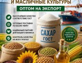 Продам сахар в городе Москва, Осуществляем прямые экспортные поставки белого