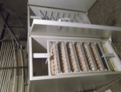 Продам яица в Иванове, Продается инкубационное яйцо бройлера кобб-500, Крупные