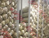 Продам мясо в Москве, Компания "РУС-" предлагает для шаурмы собственного производства