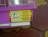 Продам в Буйнакске, Клетка, Новая! Купил Не успел довезти попугай улетел