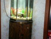 Продам в Новомичуринске, Аквариум, аквариум, 120 л, с тумбочкой