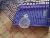 Продам в Екатеринбурге, Клетка, Продаётся клетка, переноска