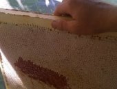 Продам мёд в Курске, натуральный полезный с личной пасеки В наличии имеется донник