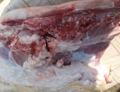 Продам мясо в Астрахани, Забьем свинину на заказ, к вашему столу