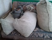Продам в Рязани, яблоки сушеные, урожай 2018г