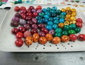 Продам яица в Волгограде, Перепелиные, со своего подсобного хозяйства! Укладываем в свою