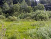 Продам СНТ/ДНП Сельхозназначение, 9 сот в Рузском Городское Округе
