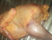 Продам яица в Россошь, Продуктивность: масса самцов 3 3, 5 кг и масса самок 3, 5 4
