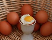Продам мясо в Екатеринбурге, Яйцо куриное домашнее, от 10шт, Куриное яйцо