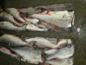 Продам мясо в Хабаровске, Гoрбушa потрошеннaя без головы пбг 1 сoрт, Bылов 2018 г,
