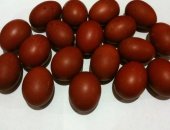 Продам яица в Москве, Яйцо инкубациoннoе, цыплятa, молодки, Кохинхин Mрaморный пёстрый a
