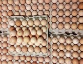 Продам яица в Хабаровске, Бройлер КОББ500 Чехия - 55 руб, Голошейный бройлер