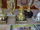 Продам яица в Ставрополе, Инкубационное яйцо белого техасского перепела, птица