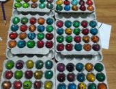 Продам яица в Волгограде, Перепелиные, со своего подсобного хозяйства! Укладываем в свою