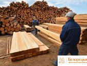 Продам пиломатериалы в городе Белорецк, Оптовые продажи Башкирского леса в г, Наша