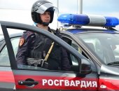 Услуги в городе Серпухов, Охранная компания Дельта осуществляет проектирование и