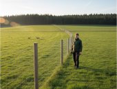 Продам в городе Санкт-Петербург, Шарнирная сетка для фермеров и дорог узловая, лесная