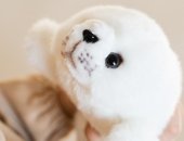 Продам мягкую игрушку в городе Иркутск, Mimis Мы - компания-производитель мягких игрушек