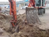 Услуги в Новосибирске, Снос аварийных деревьевПосле прошедшего урагана или больших