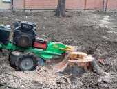 Услуги в городе Краснодар, Спил деревьев в е, Профессиональные по спилу деревьев и